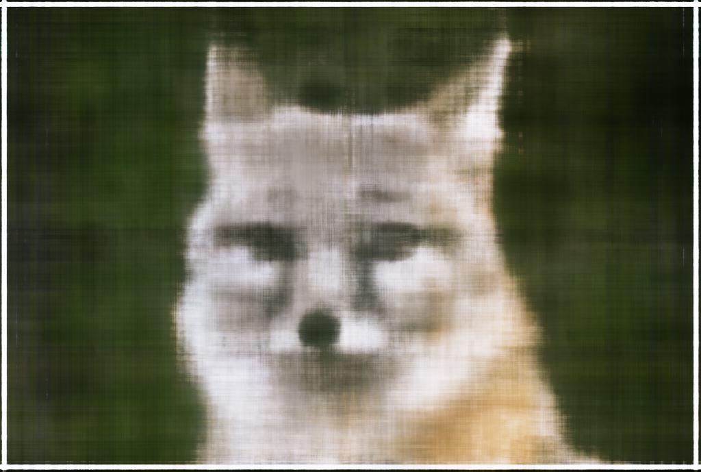 2D NeRF 100 Iterations