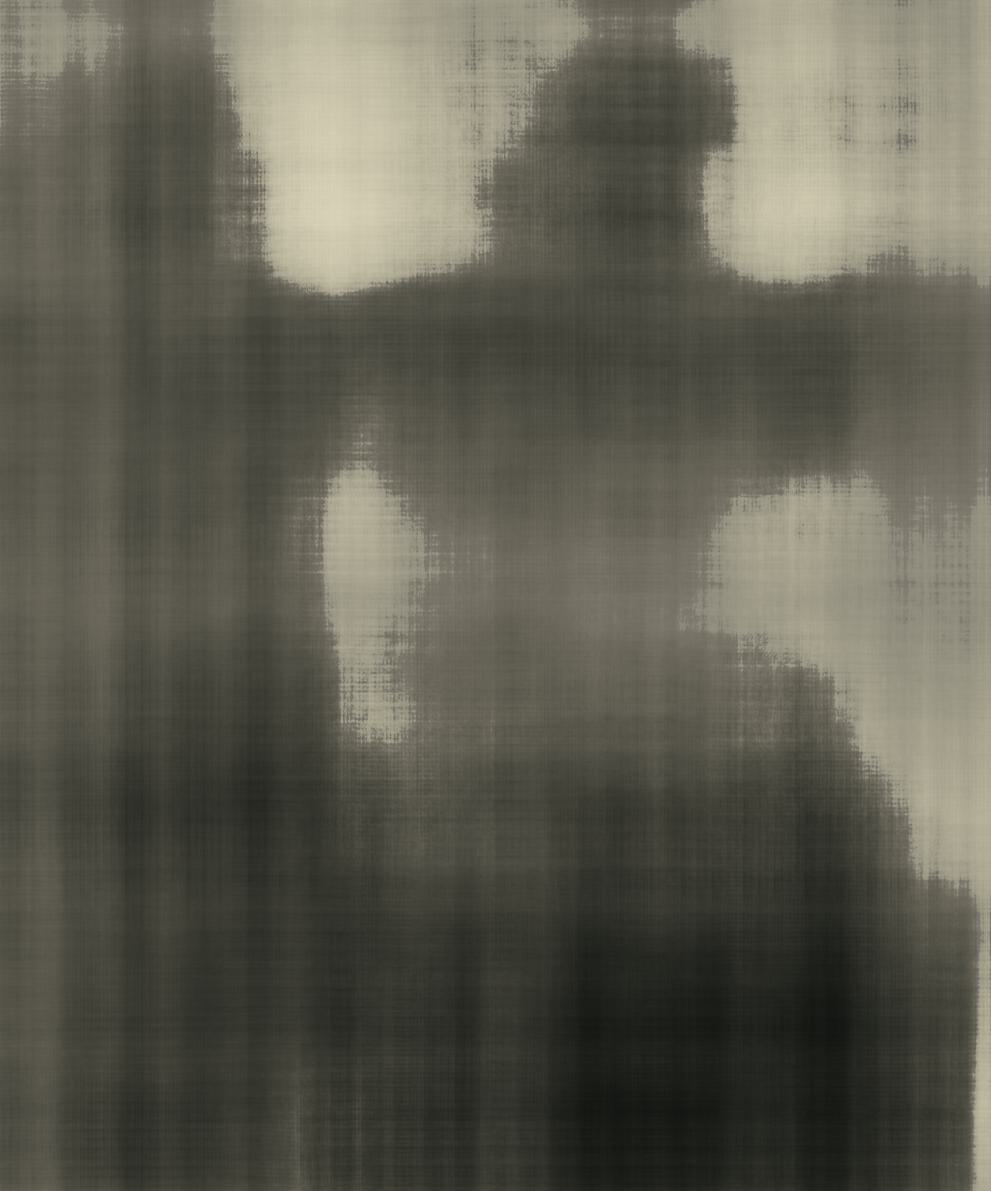 2D NeRF Cat 100 Iterations