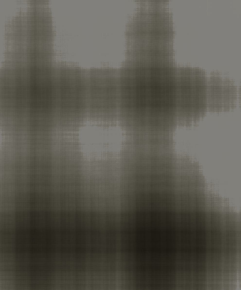 2D NeRF Cat 50 Iterations