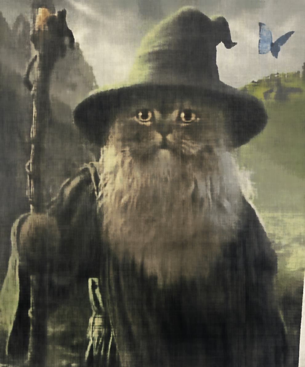 2D NeRF Cat 500 Iterations