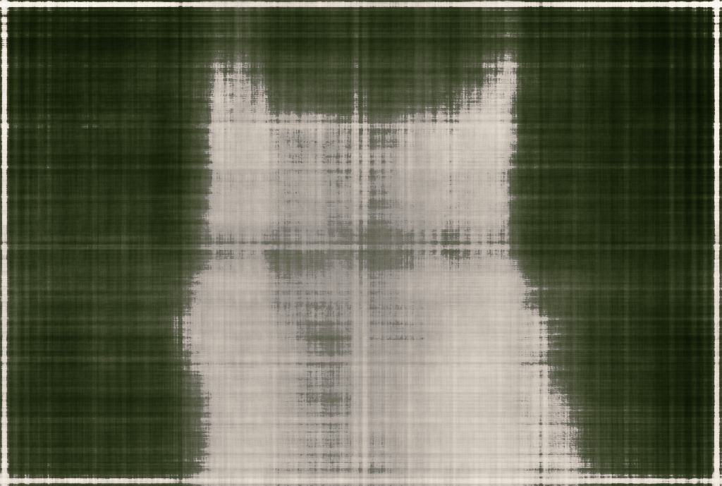 2D NeRF Layers=100 Initial