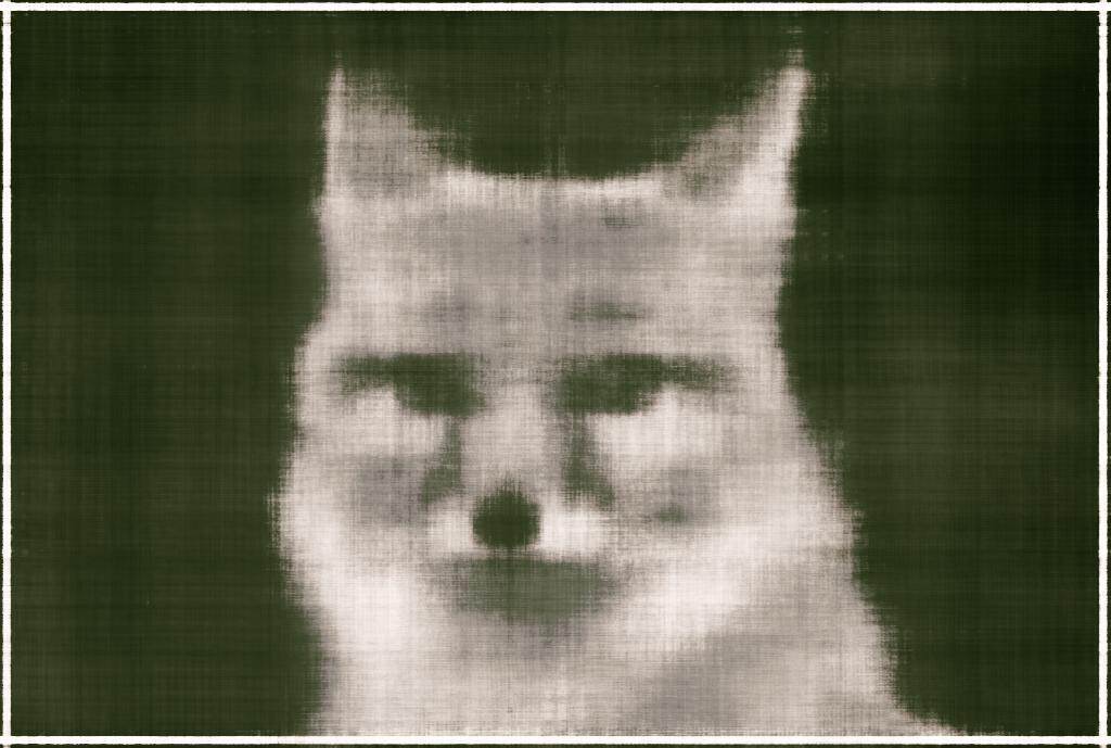 2D NeRF Layers=200 Initial