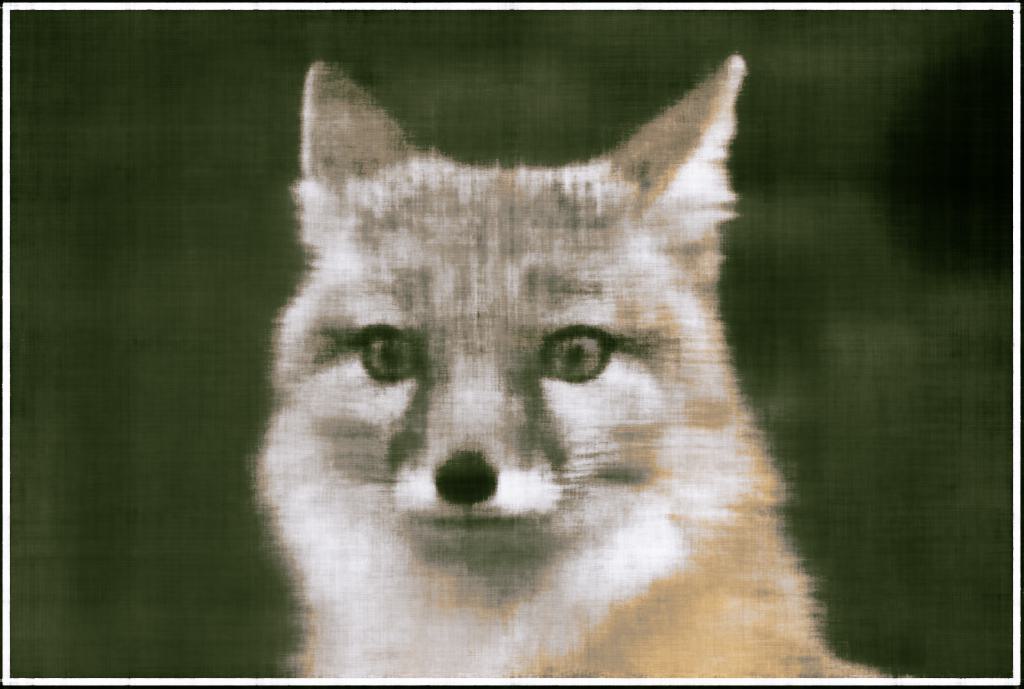 2D NeRF Layers=500 Initial