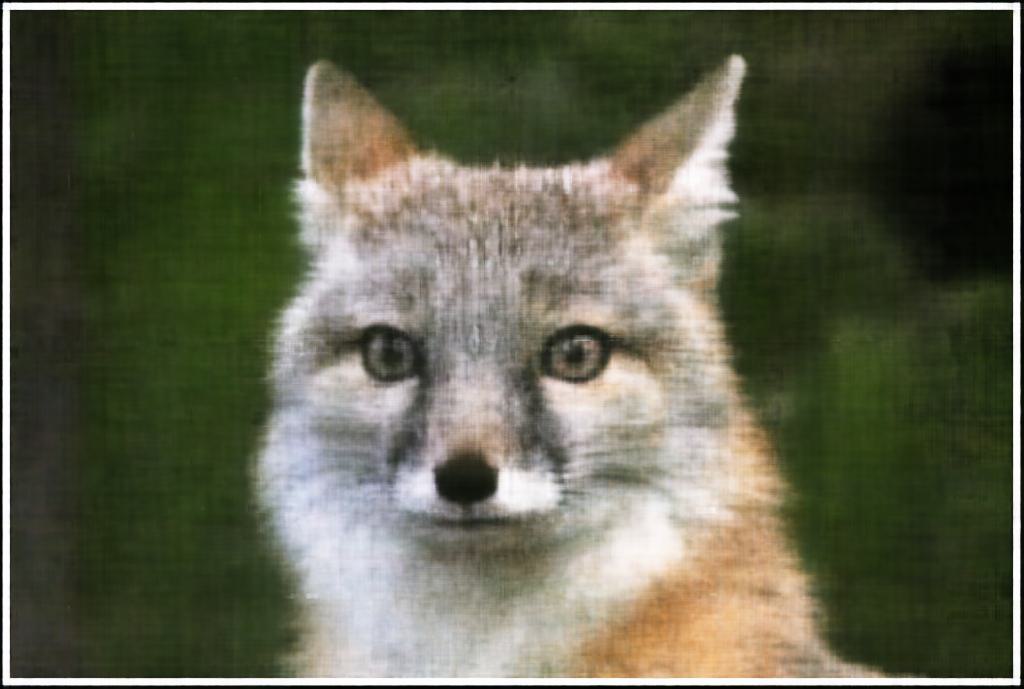 2D NeRF Units=128 Final