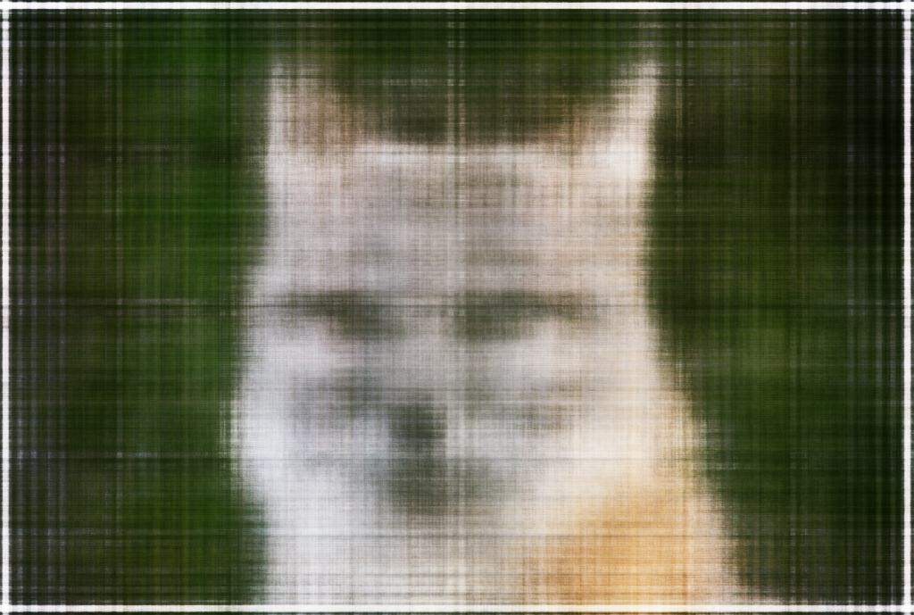 2D NeRF Units=512 100 Iterations