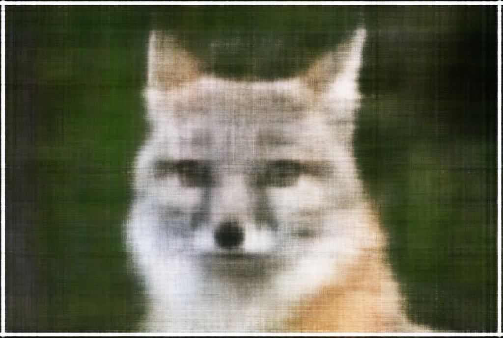 2D NeRF Units=512 200 Iterations