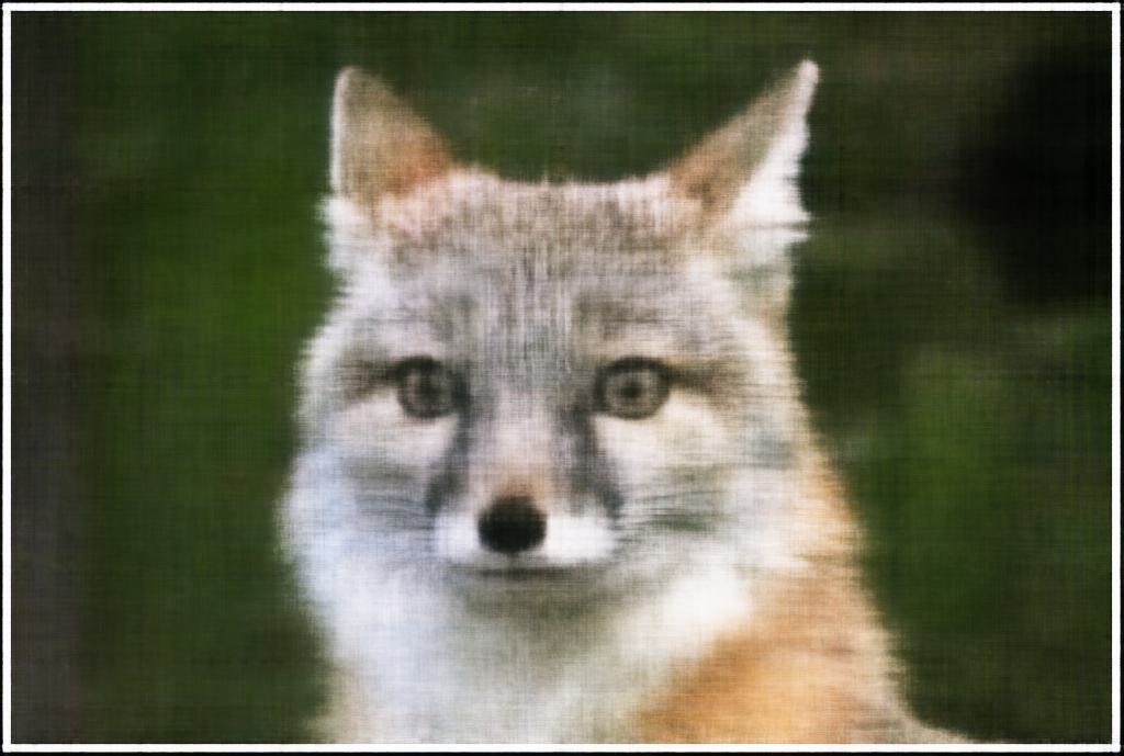 2D NeRF Units=512 500 Iterations