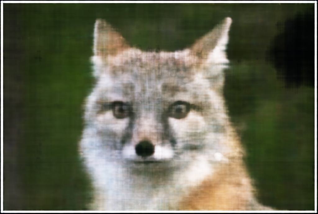 2D NeRF Units=64 Final