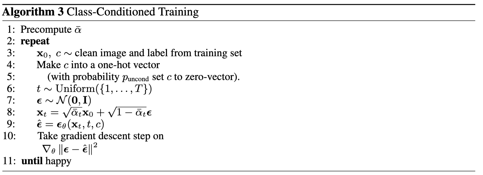 class_condition_train_pseudocode